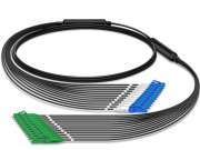Fibre di pré- terminé - Ene nouve tchoezi po l 'fôre d' ene rade